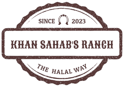 Visitors enjoying the ranch experience